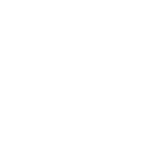 VR-1